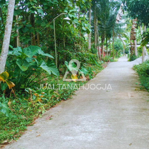 Jual Tanah Sleman jogja
