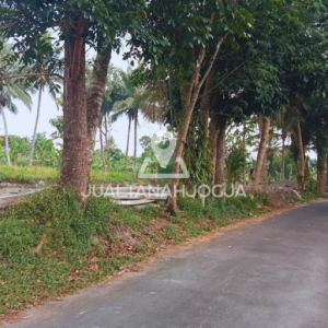 Jual Tanah sawah di Pakem Jogja view merapi