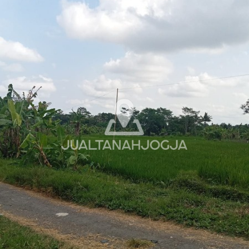 tanah kavling jogja view sawah