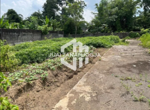 Tanah SHM Di jual