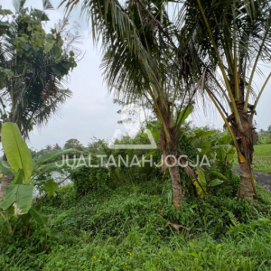 Tanah pertanian dijual di Pendowoharjo Sleman